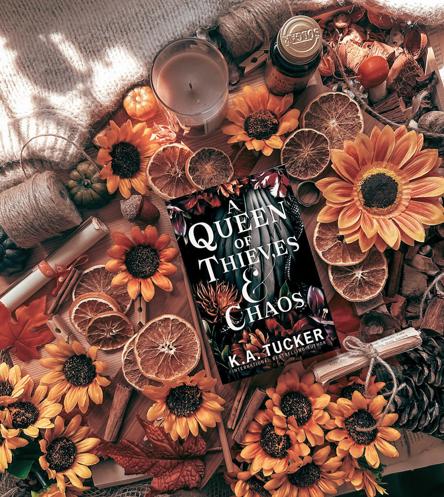 A Queen of Thieves & Chaos Book Review